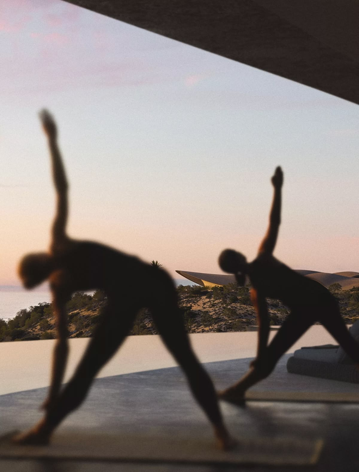 The Social Side of Wellness
